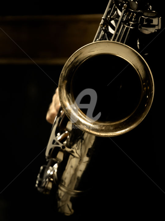 Saxophone-3 写真撮影