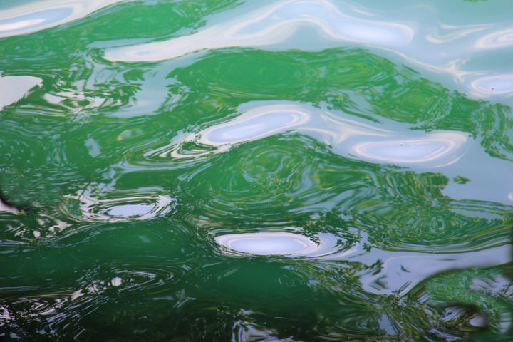 Photography titled "L' énigme du lac Pa…" by Jean Michel Sabelle, Original Artwork