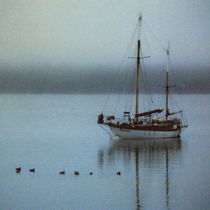 peaceful-morning-on-the-lake.jpg Photography