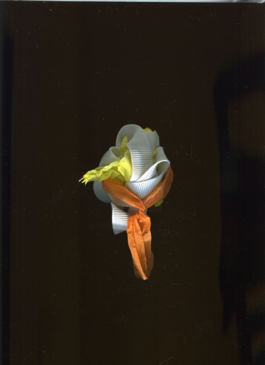 Photographie intitulée "Composite #4" par Giordano Biondi, Œuvre d'art originale, Photographie numérique