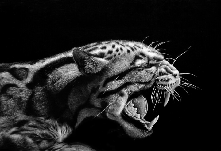 图画,  15x23.6 in 