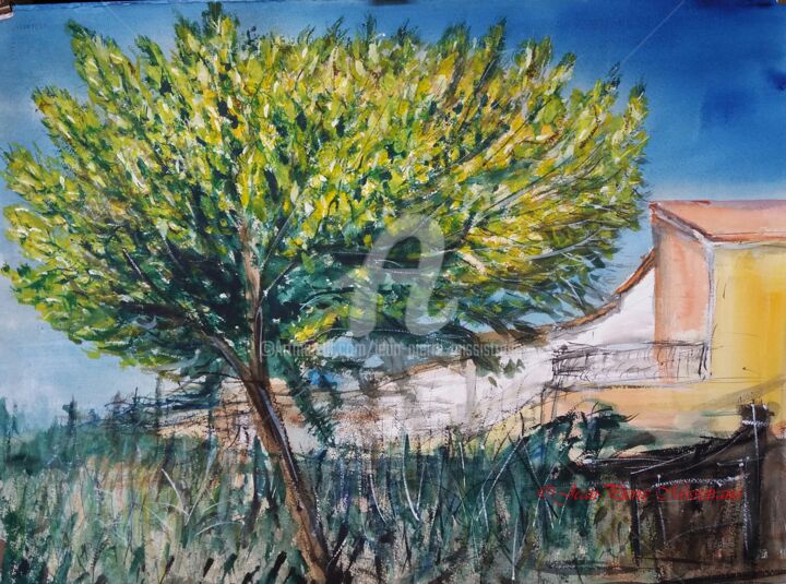 Malerei mit dem Titel "Mimosa en Provence" von Jean-Pierre Missistrano, Original-Kunstwerk, Aquarell