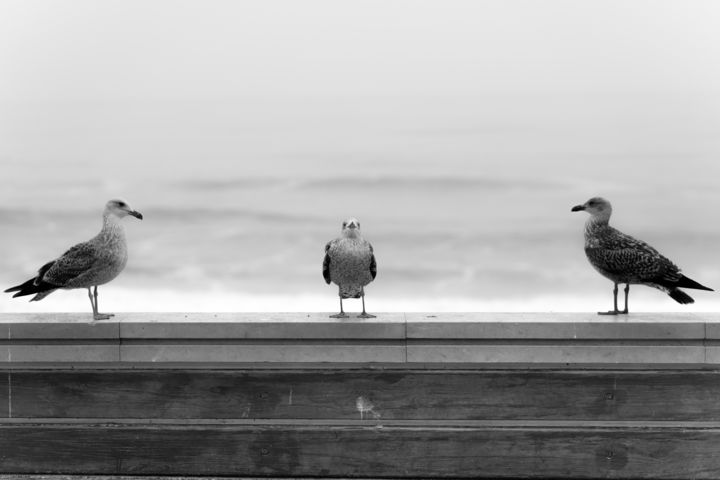 Fotografía titulada "noces océanes 3" por Jean Reynès, Obra de arte original