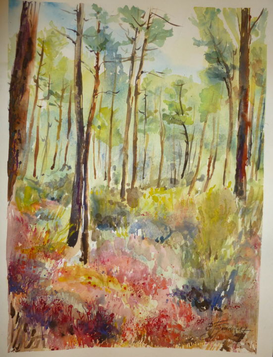 Peinture intitulée "Champ de bruyères d…" par Pierre Feyeux, Œuvre d'art originale, Aquarelle