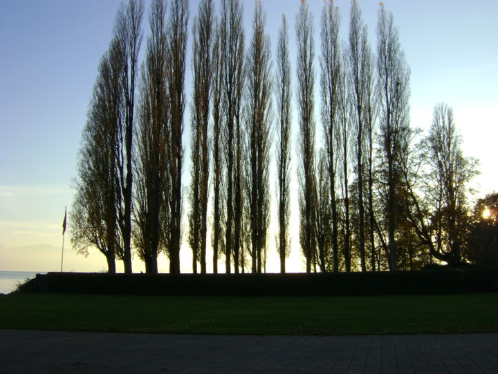 Photography titled "soir au bord du lac" by Colette Jotterand-Vetter, Original Artwork
