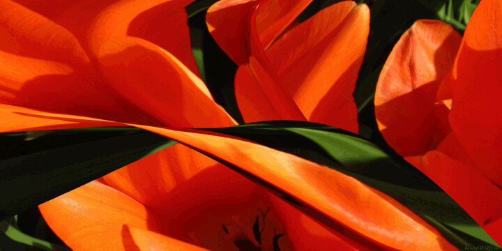 Digital Arts titled "Instant Spring 1" by Ken Grzesik, Original Artwork, Digital Painting