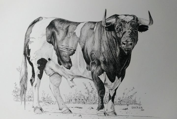 Drawing titled "Galache" by Lacasa, Original Artwork, Ink