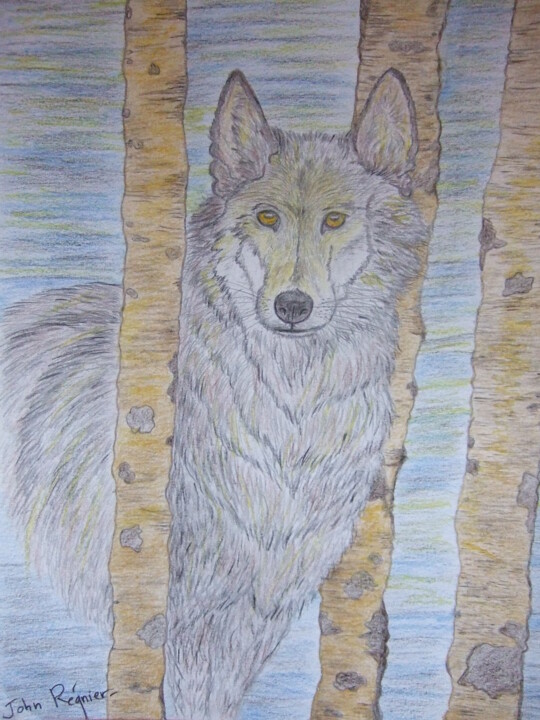 Loup 图画, 12.6x9.5 in