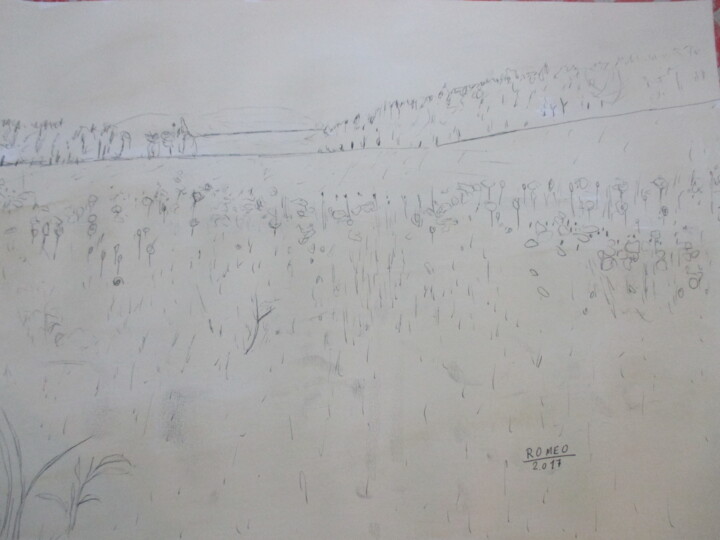 Desenho intitulada "CAMPO DE TRIGO" por Romeo Zanchett, Obras de arte originais, Outro