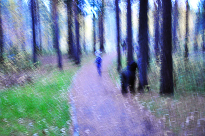 Photography titled "green summer forest" by Aleksandr Klimkin, Original Artwork