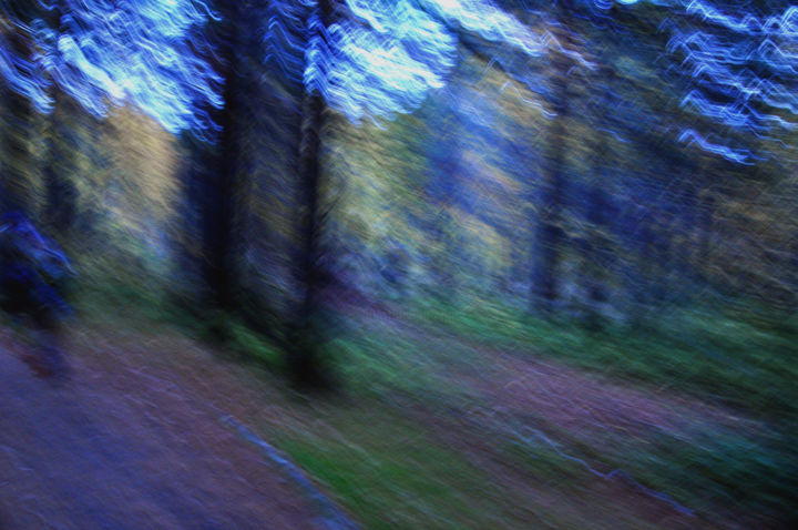 Photography titled "abstract forest in…" by Aleksandr Klimkin, Original Artwork