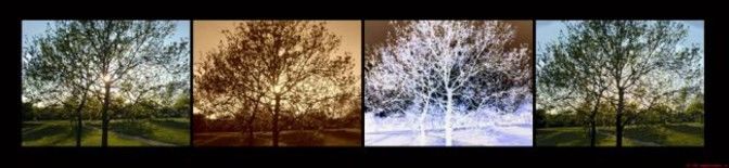Photography titled "Seasons" by Andy Gallagher, Original Artwork