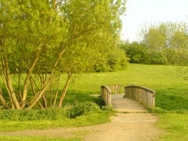 Photography titled "Tranquility" by Andy Gallagher, Original Artwork