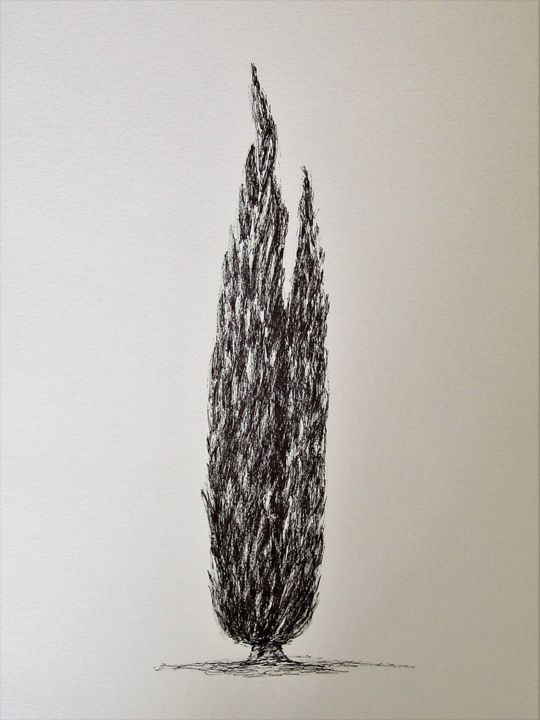 Drawing titled "cypress 1" by Isabelle Stagg, Original Artwork, Ink