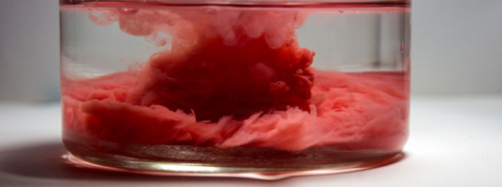 Fotografie getiteld "dsc-3565.jpg" door Elena Charnaia, Origineel Kunstwerk