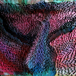 Image principale