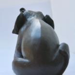 Additional views 5