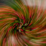 Image principale