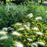 Hauptbild