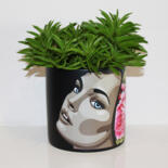 Vues supplémentaires 3