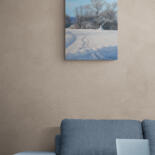 Artwork in situation