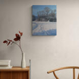 Artwork in situation