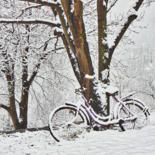 Photographie intitulée "Bel hiver / 18" par Alain Brasseur, Œuvre d'art originale