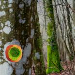 Arts numériques intitulée "L'œil de la Forêt" par Serge Thiery, Œuvre d'art originale, Autre