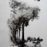 Image principale