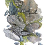 Image principale