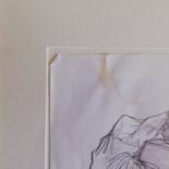 Additional views 5