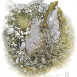 Image principale