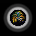 Image principale