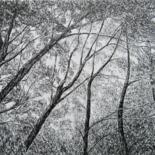 Additional views 5