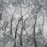 Additional views 5