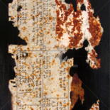 Image principale
