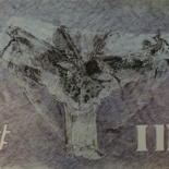 Image principale
