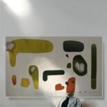 主形象