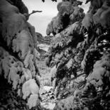 Photographie intitulée "Neiges - 3" par Karolus, Œuvre d'art originale, Photographie numérique