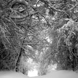Photographie intitulée "Neiges - 14" par Karolus, Œuvre d'art originale, Photographie numérique