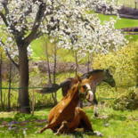 Painting titled "repos à l'ombre" by Gerard Monborren, Original Artwork, Oil