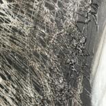 Additional views 5