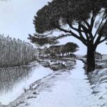 Image principale