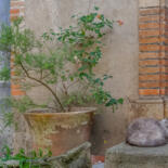 Image principale
