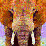 Image principale