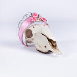 Photography titled "Princess" by Ordo Abkao, Original Artwork, Non Manipulated Photography