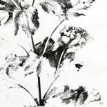 主形象