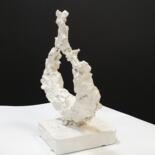 Aanvullende afbeeldingen 5