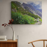 Artwork in situation