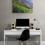 Artwork in situation